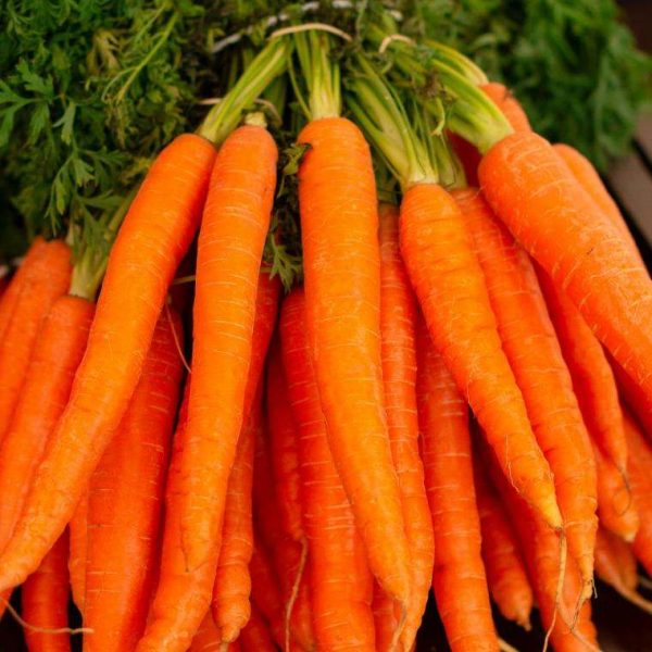 Organic Carrots