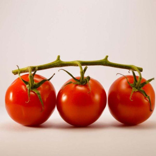 Vine Tomatoes